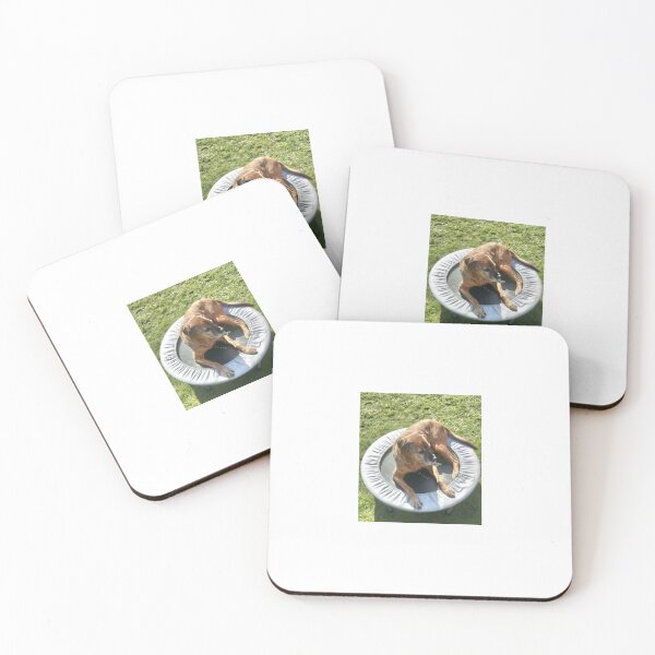 Item preview, Dog on the trampoline designed and sold by LeesMegamerch.