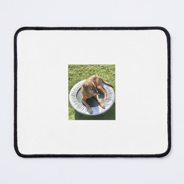 Item preview, Dog on the trampoline designed and sold by LeesMegamerch.