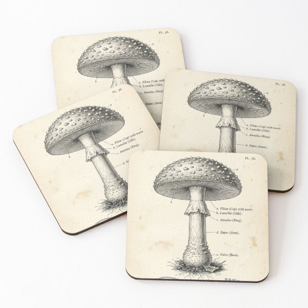 Item preview, Vintage Botanical Mushroom Illustration Scientific Art designed and sold by Arobinoz.