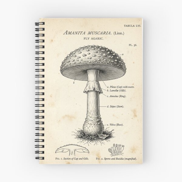 Item preview, Vintage Botanical Mushroom Illustration Scientific Art designed and sold by Arobinoz.