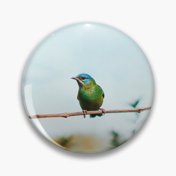 Item preview, Bird - Dacnis Cayana - Grainy Digital Photo designed and sold by anafrancisconi.