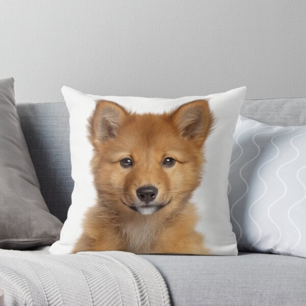 Item preview, Adorable Finnish Spitz pup for Cute Finnish Spitz puppy lovers designed and sold by LazyOwlStore.