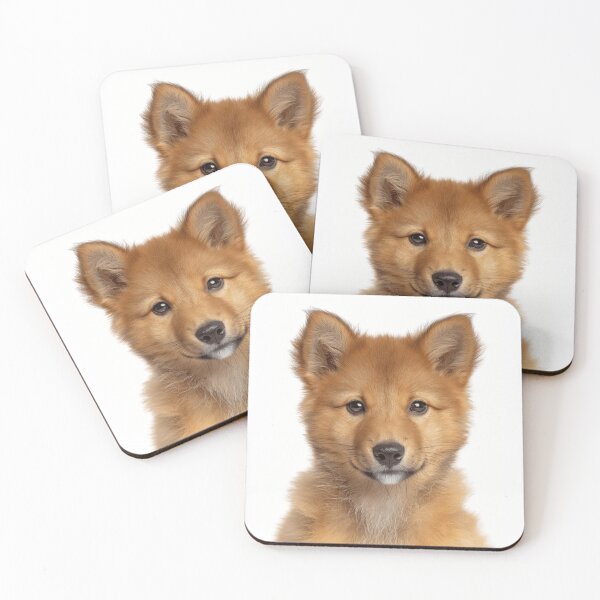 Item preview, Adorable Finnish Spitz pup for Cute Finnish Spitz puppy lovers designed and sold by LazyOwlStore.