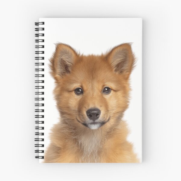 Item preview, Adorable Finnish Spitz pup for Cute Finnish Spitz puppy lovers designed and sold by LazyOwlStore.