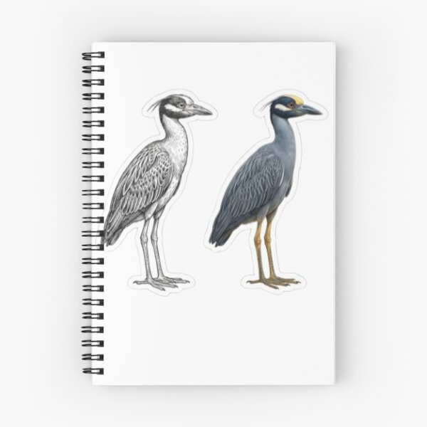 Item preview, Yellow-crowned night heron designed and sold by Couldbebettah.