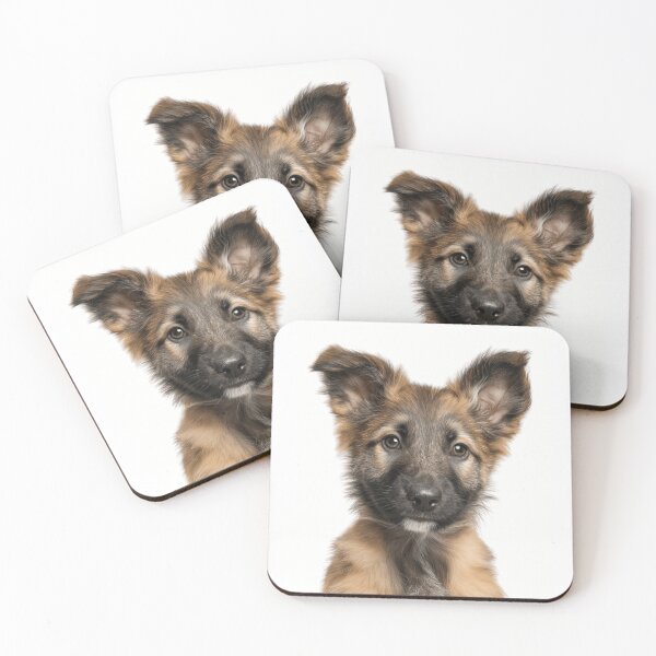 Item preview, Adorable Belgian Laekenois pup for Cute Laekense puppy lovers designed and sold by LazyOwlStore.
