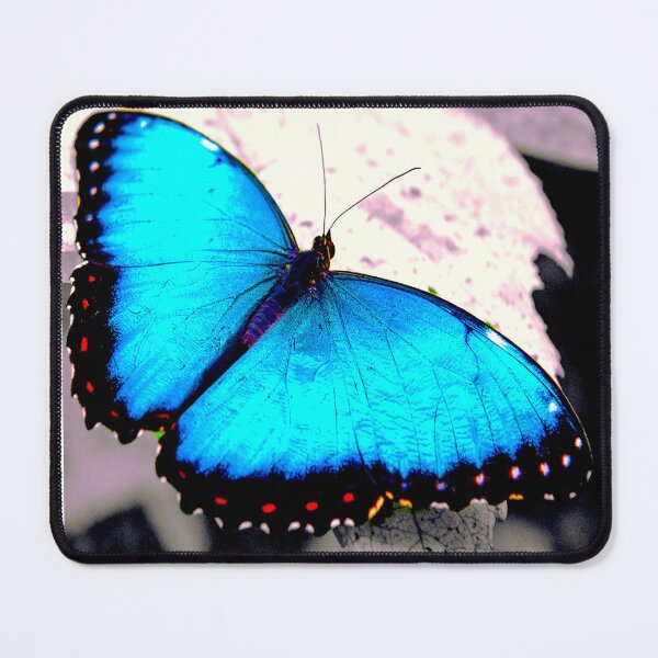 Item preview, Godart's morpho butterfly  designed and sold by Proxima77.