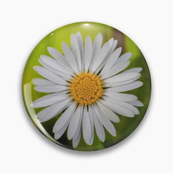 Item preview, Wild Daisy Flower Photo Collage designed and sold by JurateArt-DK.