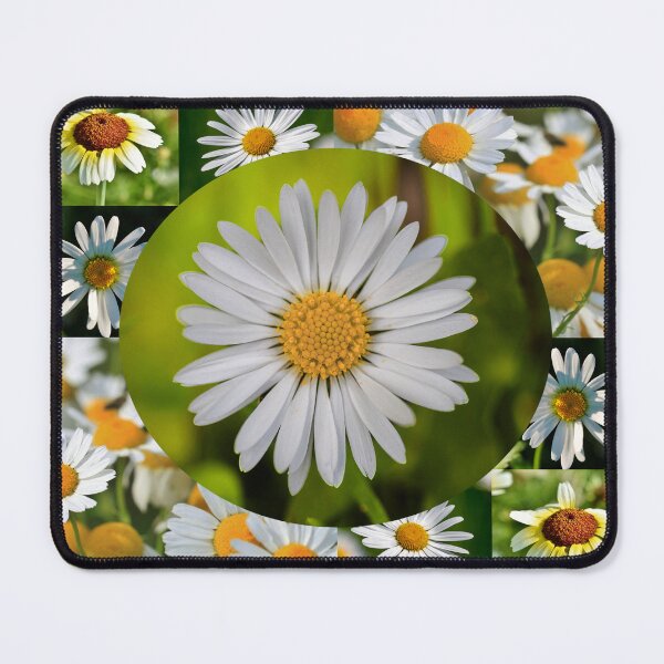 Item preview, Wild Daisy Flower Photo Collage designed and sold by JurateArt-DK.