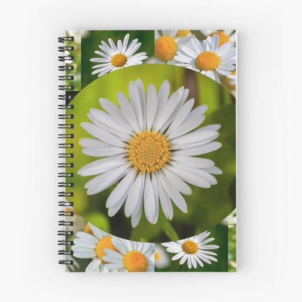 Item preview, Wild Daisy Flower Photo Collage designed and sold by JurateArt-DK.