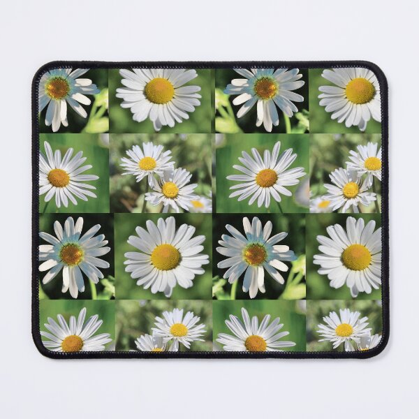 Item preview, Wild Daisy Flower Photo Collage designed and sold by JurateArt-DK.