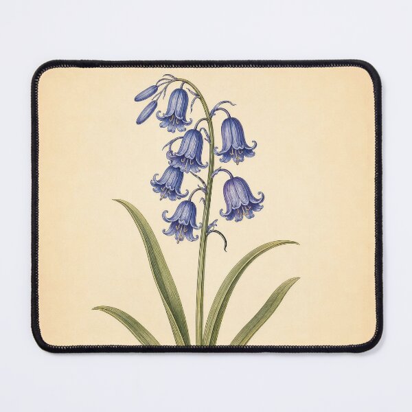 Item preview, Bluebell Flower Vintage Botanical Illustration Art Print designed and sold by NuvoraNest.