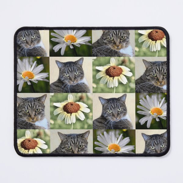 Item preview, Cat Portrait and Daisy Flower Photo Collage designed and sold by JurateArt-DK.