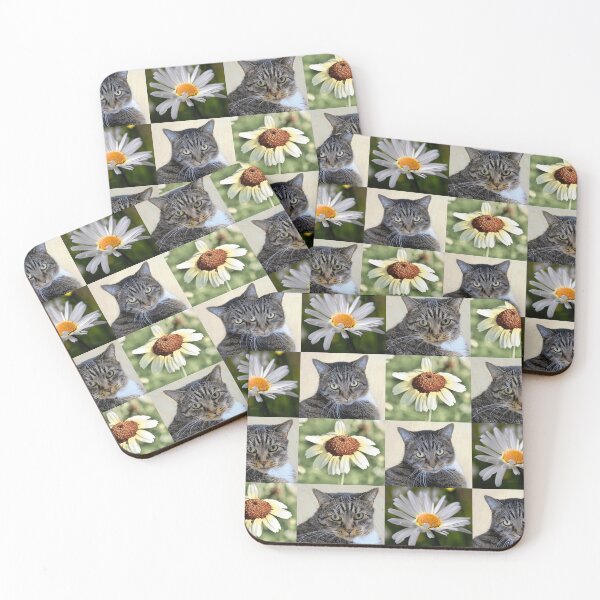 Item preview, Cat Portrait and Daisy Flower Photo Collage designed and sold by JurateArt-DK.