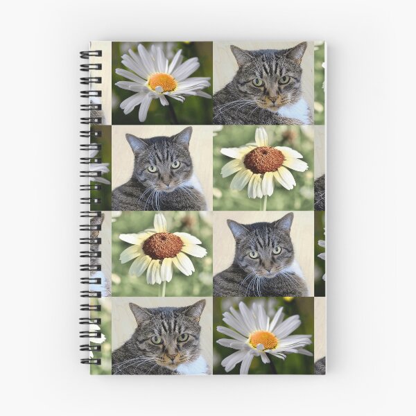 Item preview, Cat Portrait and Daisy Flower Photo Collage designed and sold by JurateArt-DK.