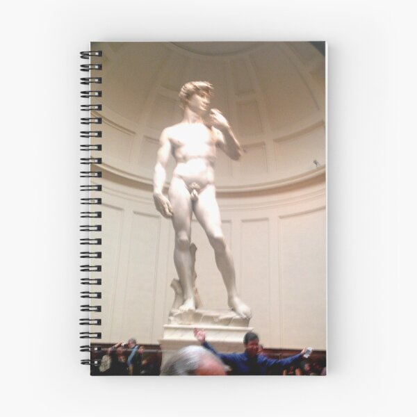 Item preview, Michelangelo - David designed and sold by missioncreek.
