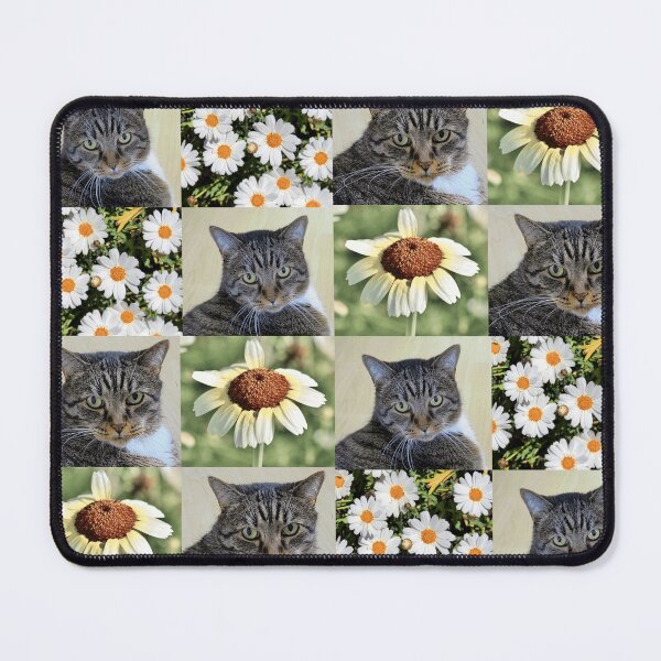 Item preview, Cat Portrait and Daisy Flower Photo Collage designed and sold by JurateArt-DK.