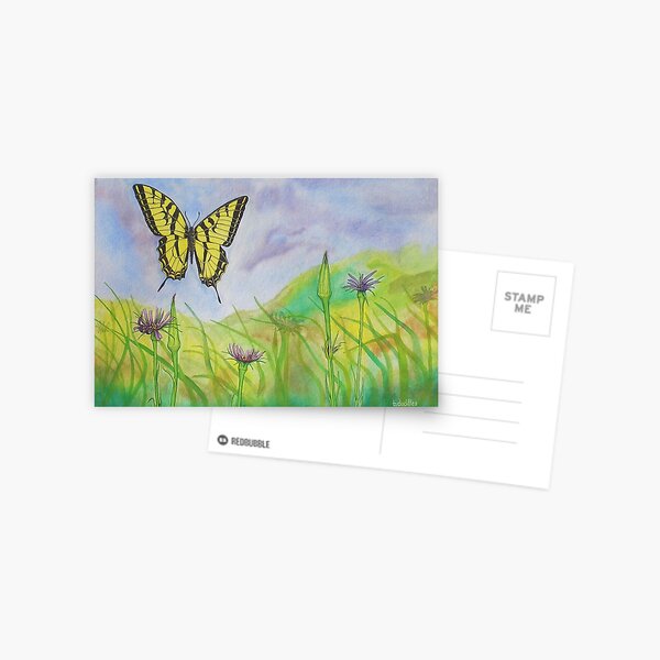 Western Slope Butterfly Postcard