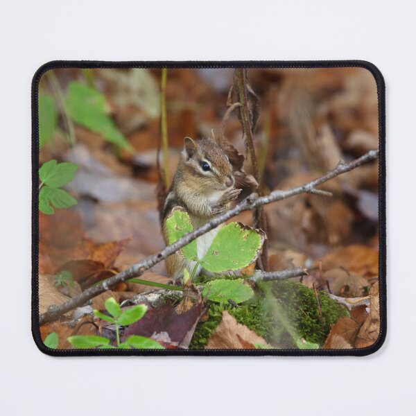 Item preview, Chipmunk in the wood designed and sold by Backyard Friends.
