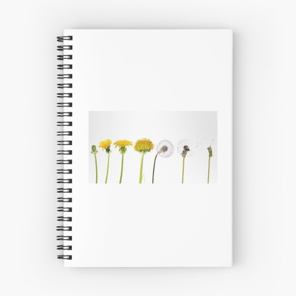 Item preview, Changes of a Dandelion Sticker <3 designed and sold by lolalacavaaa.