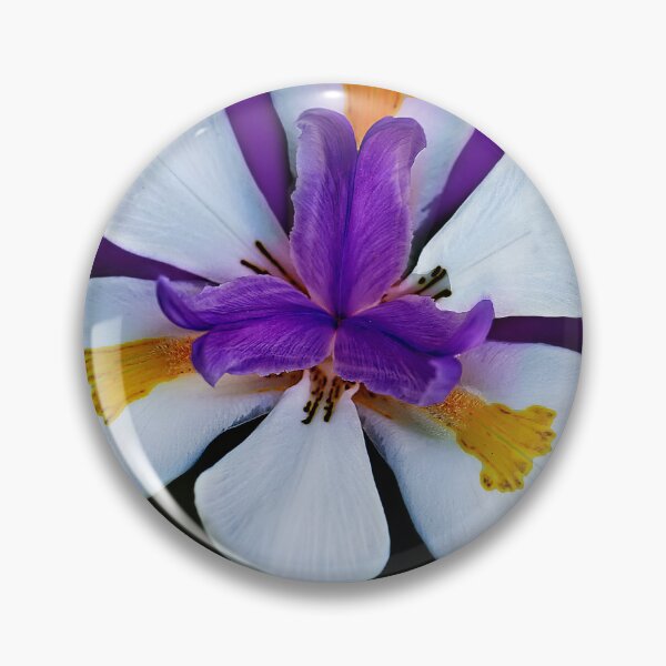 Item preview, African Iris designed and sold by Kay Brewer.