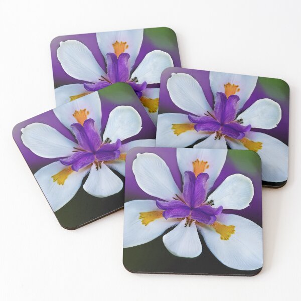 Item preview, African Iris designed and sold by Kay Brewer.