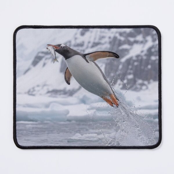 Item preview, Hunting Penguin designed and sold by Dudek Originals.