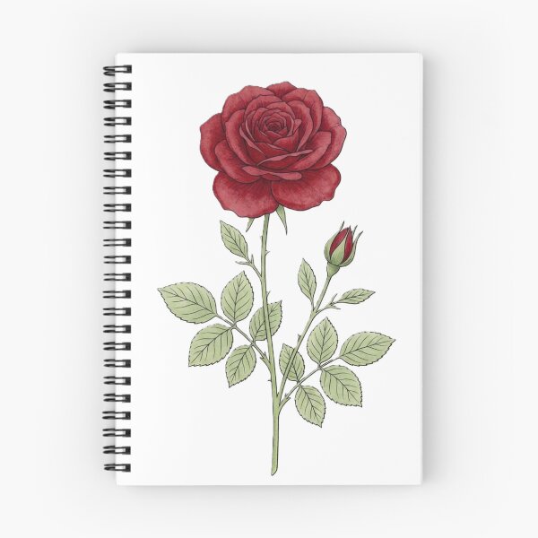 Item preview, Red Rose Botanical Illustration – Elegant Romantic Floral Line Art designed and sold by Zaitmiprints.