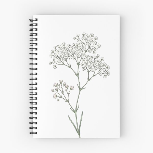 Item preview, Baby's Breath Botanical Line Art Print, Minimalist Gypsophila Floral Illustration, Delicate Wildflower Drawing, Cottagecore Nature Wall Art, Elegant Vintage Botanical Decor, Soft Floral Design designed and sold by Zaitmiprints.