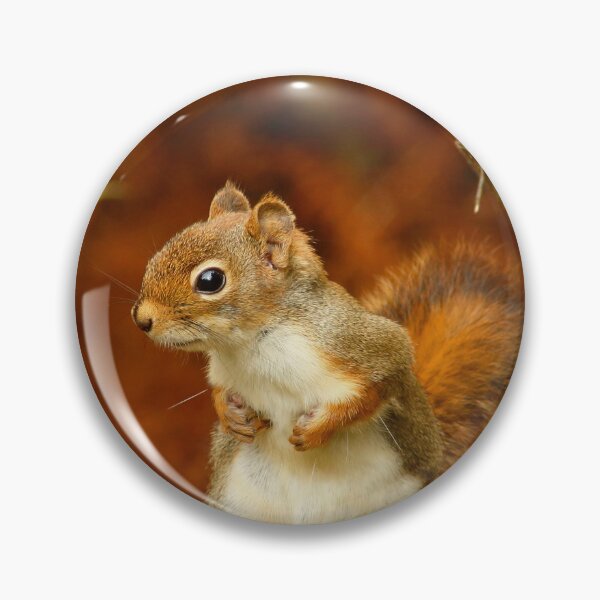 Item preview, Angry squirrel designed and sold by Backyard Friends.