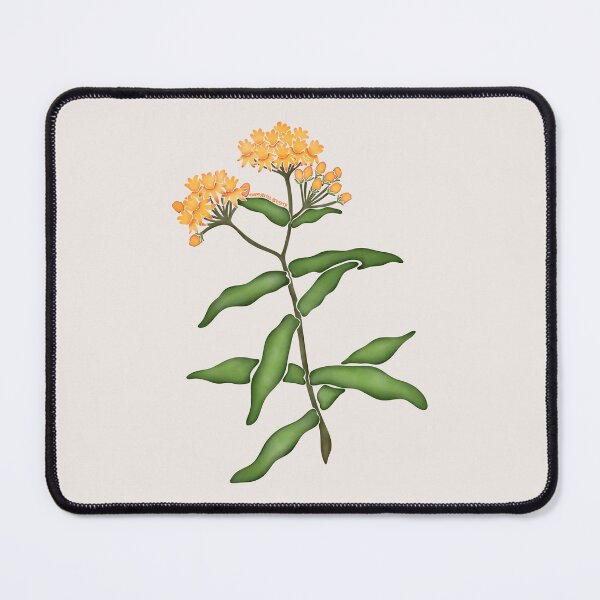 Item preview, Watercolor Butterfly Milkweed Flower- Texas Native Flower designed and sold by Marguerite Artistry.