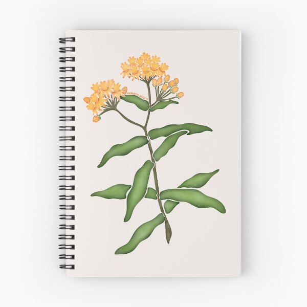 Item preview, Watercolor Butterfly Milkweed Flower- Texas Native Flower designed and sold by Marguerite Artistry.