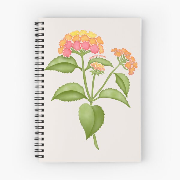 Item preview, Watercolor Lantana Flower- Texas Native Flower designed and sold by Marguerite Artistry.