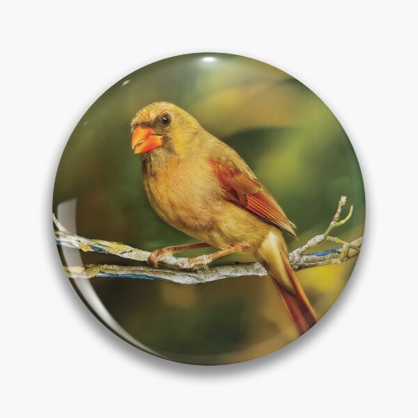 Item preview, The Female Cardinal designed and sold by Kay Brewer.