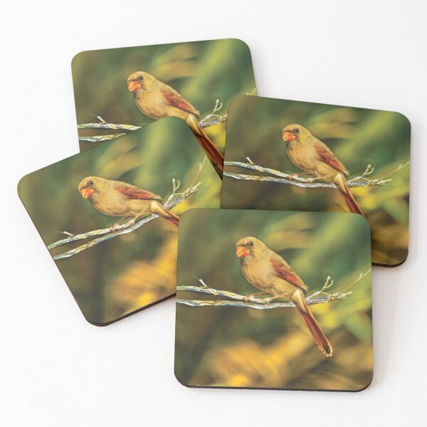 Item preview, The Female Cardinal designed and sold by Kay Brewer.