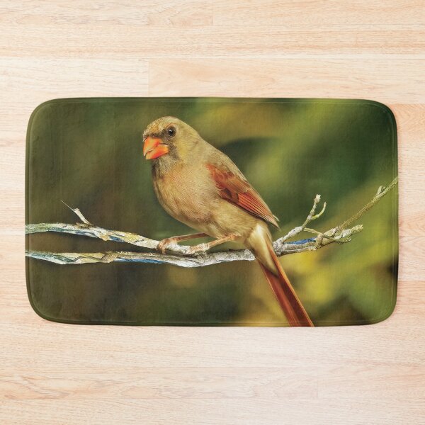 Item preview, The Female Cardinal designed and sold by Kay Brewer.