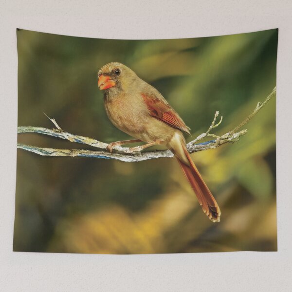 Item preview, The Female Cardinal designed and sold by Kay Brewer.