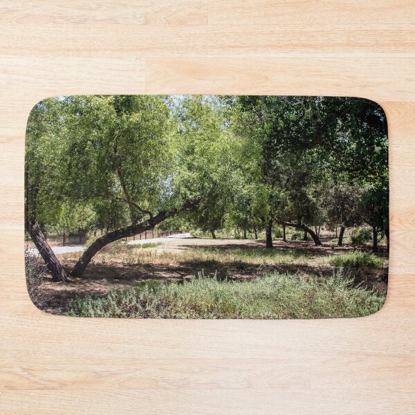 Item preview, Park of Many Trees designed and sold by heatherfriedman.