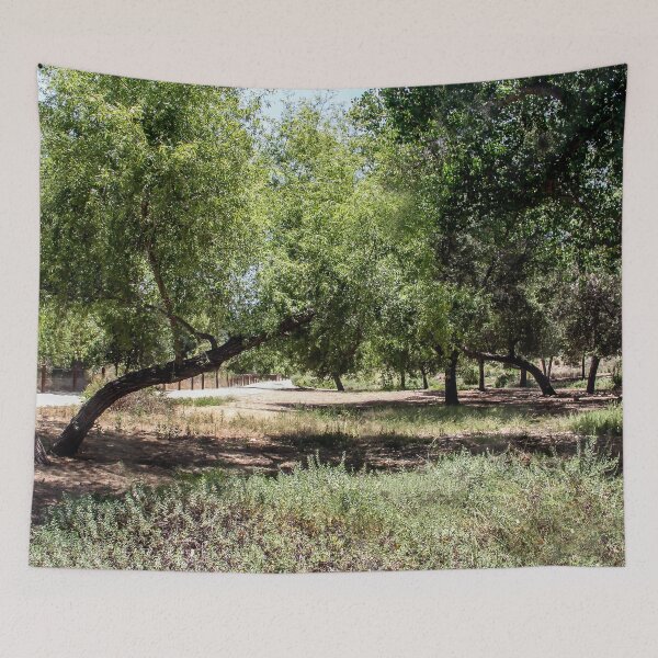 Item preview, Park of Many Trees designed and sold by heatherfriedman.