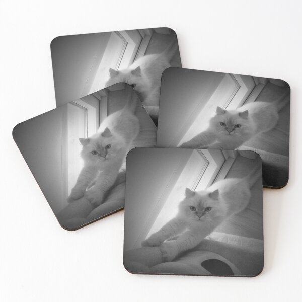 Item preview, ¡Gran estiramiento! designed and sold by Curious Echo Photography.