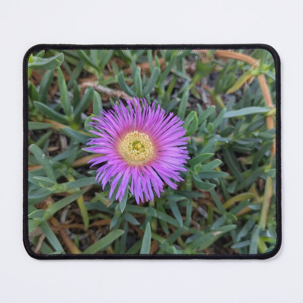 Item preview, Purple Ice Flowers Amidst the Greenery (Sea Fig) designed and sold by gaohao1.