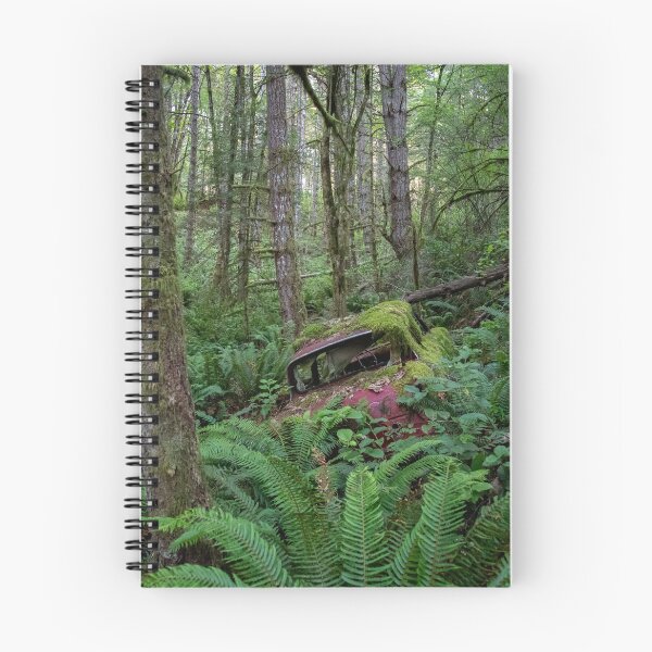 Item preview, 1959-67 Ford Anlia Lost Abandoned and Rusting Away in the Forest. designed and sold by Ernie Steven Dickey.