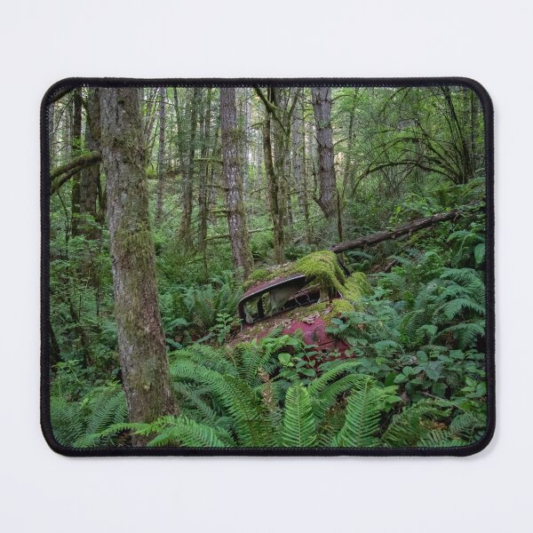 Item preview, 1959-67 Ford Anlia Lost Abandoned and Rusting Away in the Forest. designed and sold by Ernie Steven Dickey.