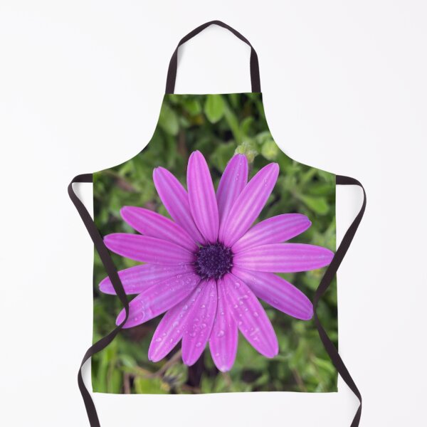 Item preview, Purple African Daisy with Dew Drops Botanical Photography designed and sold by Be Captured by Brittany Emma.