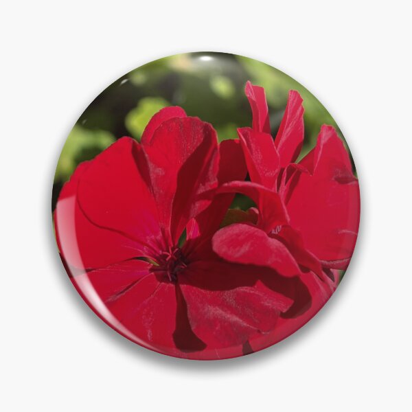 Item preview, Pelargonium Big Red Vibrant Red Garden Flower Photography designed and sold by Be Captured by Brittany Emma.