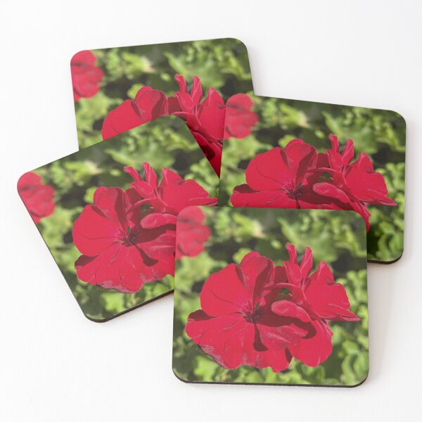 Item preview, Pelargonium Big Red Vibrant Red Garden Flower Photography designed and sold by Be Captured by Brittany Emma.