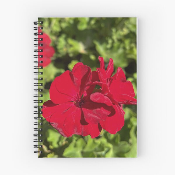 Item preview, Pelargonium Big Red Vibrant Red Garden Flower Photography designed and sold by Be Captured by Brittany Emma.