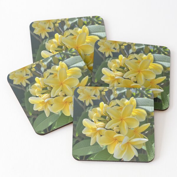 Item preview, Yellow Frangipani Tropical Plumeria Flower Photography designed and sold by Be Captured by Brittany Emma.
