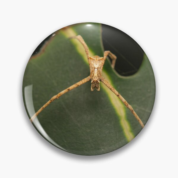 Item preview, Long-legged Crab Spider designed and sold by robdwildlife.