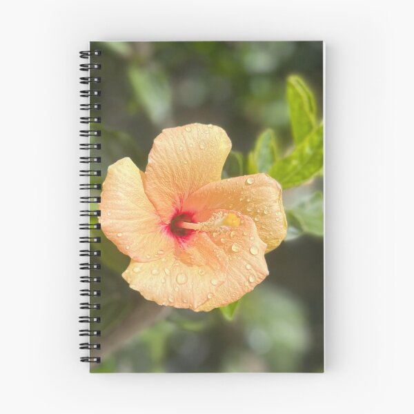 Item preview, Orange Hibiscus with Raindrops Tropical Flower Photography designed and sold by Be Captured by Brittany Emma.